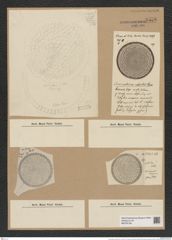 Coscinodiscus velatus Ehr. (de-Toni-Nr.: Genus 202, Species 4965) Zeichnungen Sammlung Grunow Nr. 8558 (NHMW-BOT-W0378199)